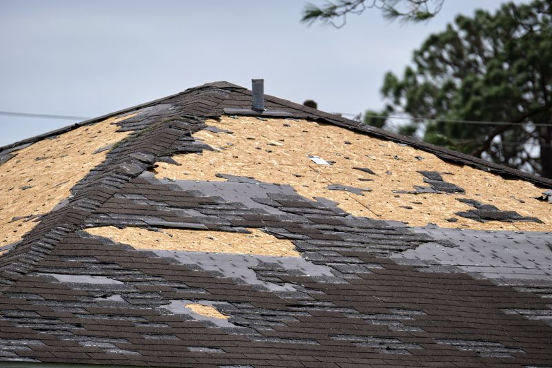 Shingle Restoration